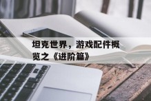 坦克世界，游戏配件概览之《进阶篇》