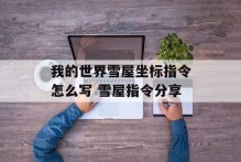 我的世界雪屋坐标指令怎么写 雪屋指令分享