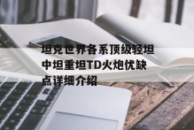 坦克世界各系顶级轻坦中坦重坦TD火炮优缺点详细介绍
