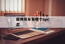 原神风车菊哪个npc卖