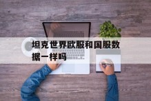 坦克世界欧服和国服数据一样吗