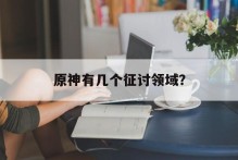 原神有几个征讨领域？