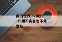 我的世界java版1.19版不实名也不用登陆
