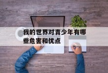 我的世界对青少年有哪些危害和优点