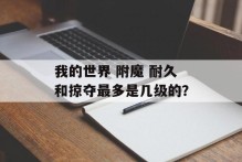 我的世界 附魔 耐久和掠夺最多是几级的？