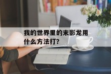 我的世界里的末影龙用什么方法打？