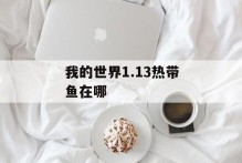 我的世界1.13热带鱼在哪