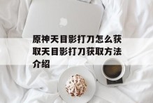 原神天目影打刀怎么获取天目影打刀获取方法介绍
