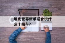 坦克世界新手适合玩什么十级车？