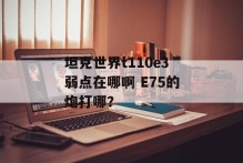 坦克世界t110e3弱点在哪啊 E75的炮打哪？