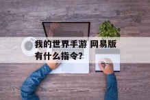 我的世界手游 网易版有什么指令？