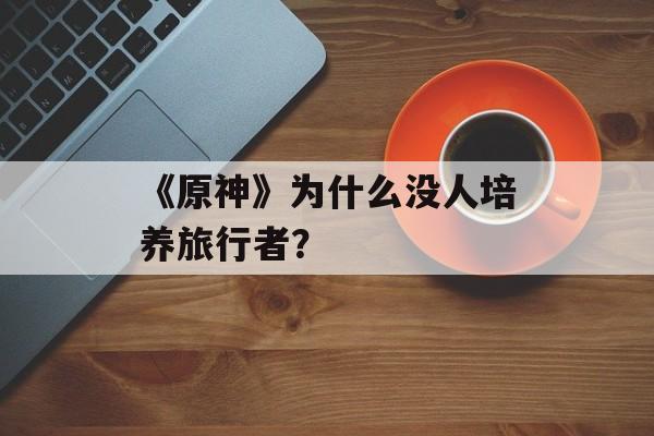 《原神》为什么没人培养旅行者？