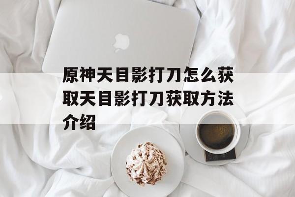 原神天目影打刀怎么获取天目影打刀获取方法介绍
