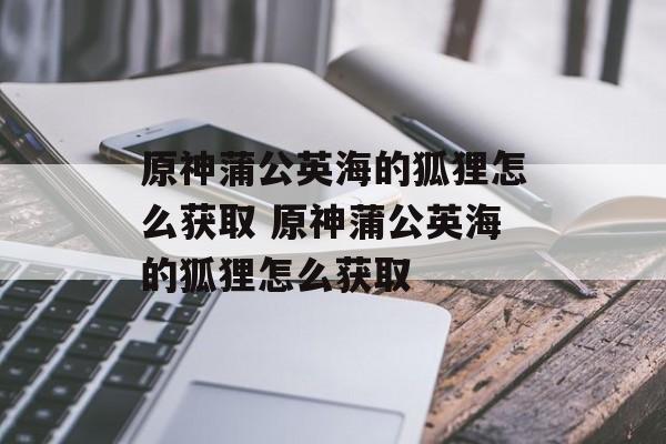 原神蒲公英海的狐狸怎么获取 原神蒲公英海的狐狸怎么获取