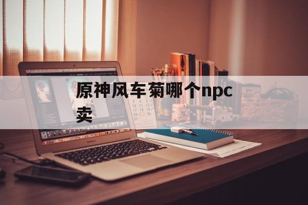 原神风车菊哪个npc卖