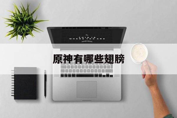 原神有哪些翅膀