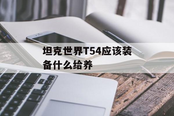 坦克世界T54应该装备什么给养