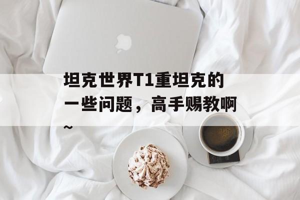坦克世界T1重坦克的一些问题，高手赐教啊~