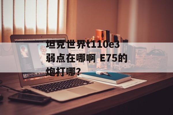 坦克世界t110e3弱点在哪啊 E75的炮打哪？