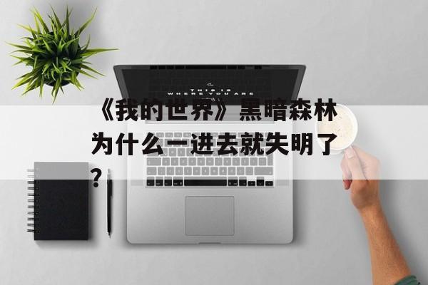 《我的世界》黑暗森林为什么一进去就失明了？