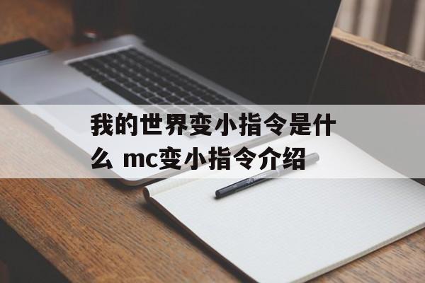 我的世界变小指令是什么 mc变小指令介绍