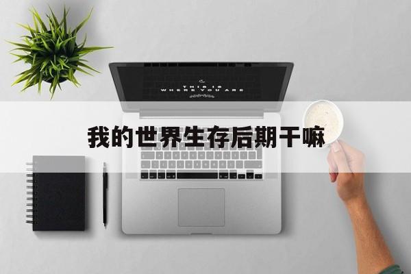 我的世界生存后期干嘛