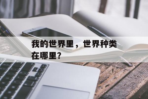 我的世界里，世界种类在哪里？