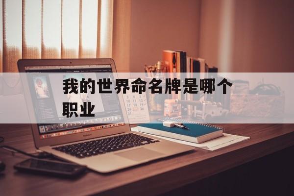 我的世界命名牌是哪个职业
