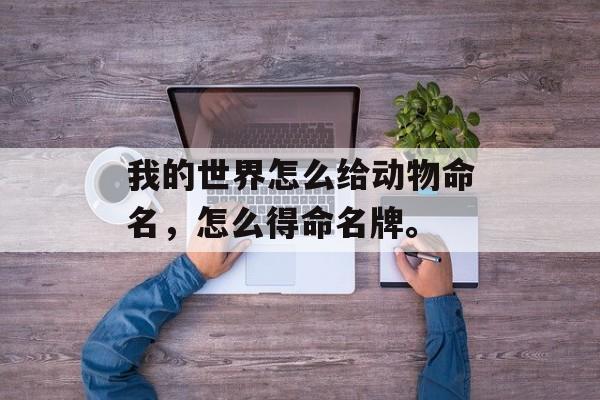 我的世界怎么给动物命名，怎么得命名牌。