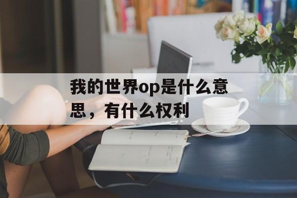 我的世界op是什么意思，有什么权利