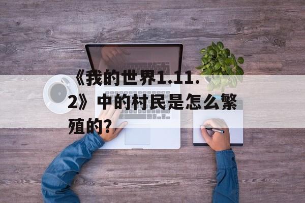 《我的世界1.11.2》中的村民是怎么繁殖的？