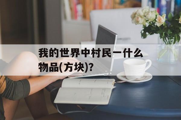 我的世界中村民一什么物品(方块)？