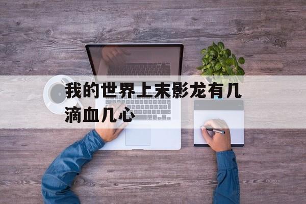 我的世界上末影龙有几滴血几心