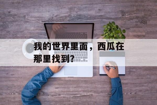 我的世界里面，西瓜在那里找到？