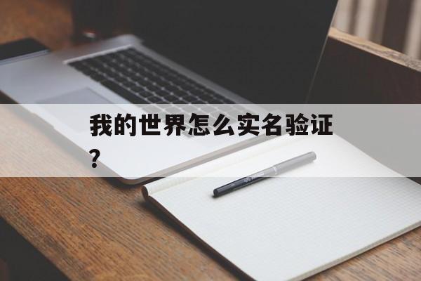 我的世界怎么实名验证？