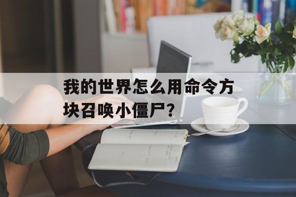 我的世界怎么用命令方块召唤小僵尸？