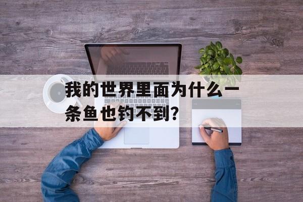 我的世界里面为什么一条鱼也钓不到？