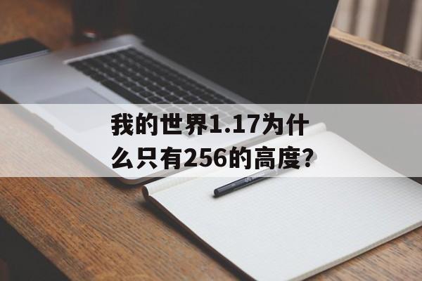 我的世界1.17为什么只有256的高度？