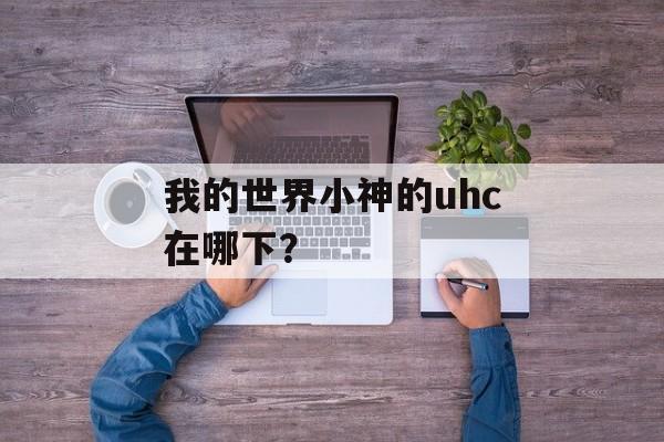 我的世界小神的uhc在哪下？