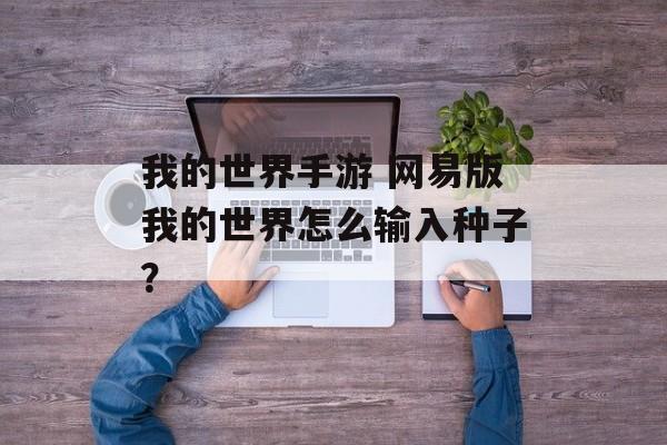我的世界手游 网易版我的世界怎么输入种子？