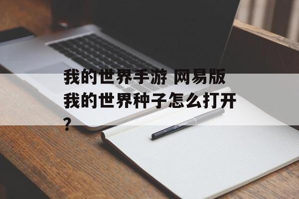 我的世界手游 网易版我的世界种子怎么打开？