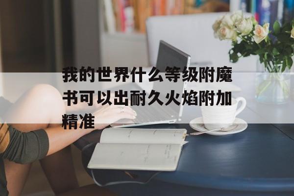 我的世界什么等级附魔书可以出耐久火焰附加精准