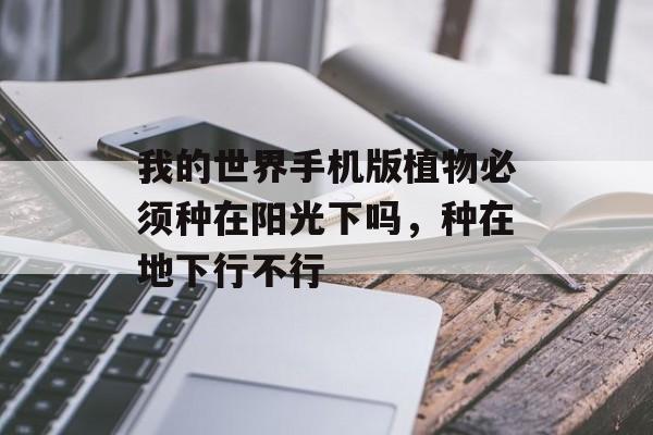 我的世界手机版植物必须种在阳光下吗，种在地下行不行