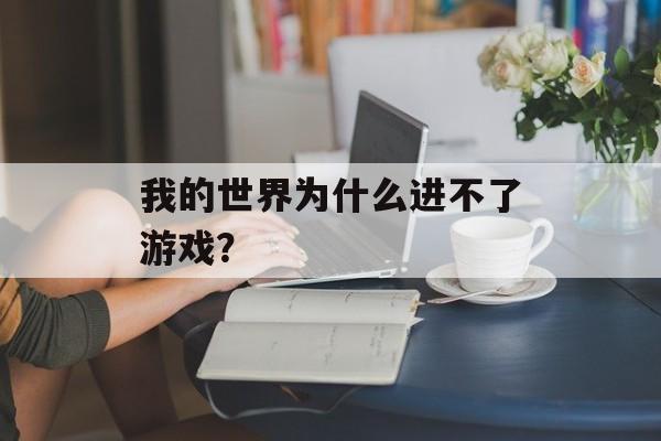 我的世界为什么进不了游戏？