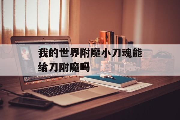 我的世界附魔小刀魂能给刀附魔吗