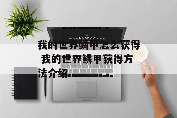 我的世界鳞甲怎么获得 我的世界鳞甲获得方法介绍
