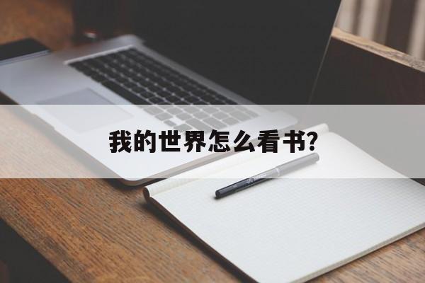 我的世界怎么看书？