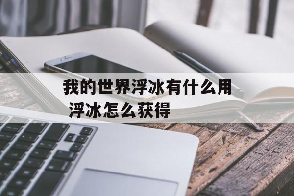 我的世界浮冰有什么用 浮冰怎么获得