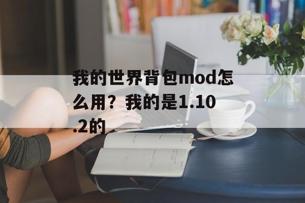 我的世界背包mod怎么用？我的是1.10.2的