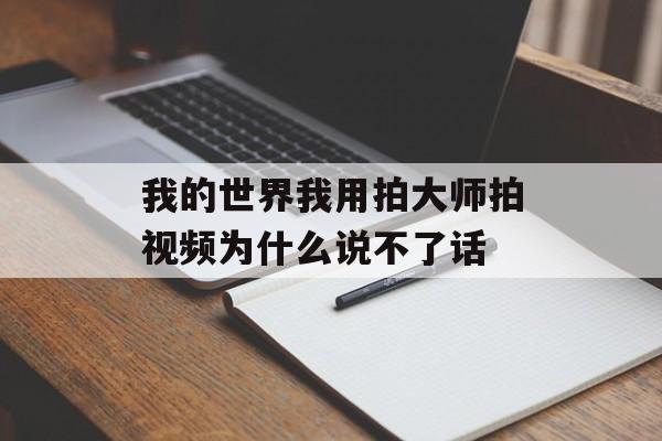 我的世界我用拍大师拍视频为什么说不了话